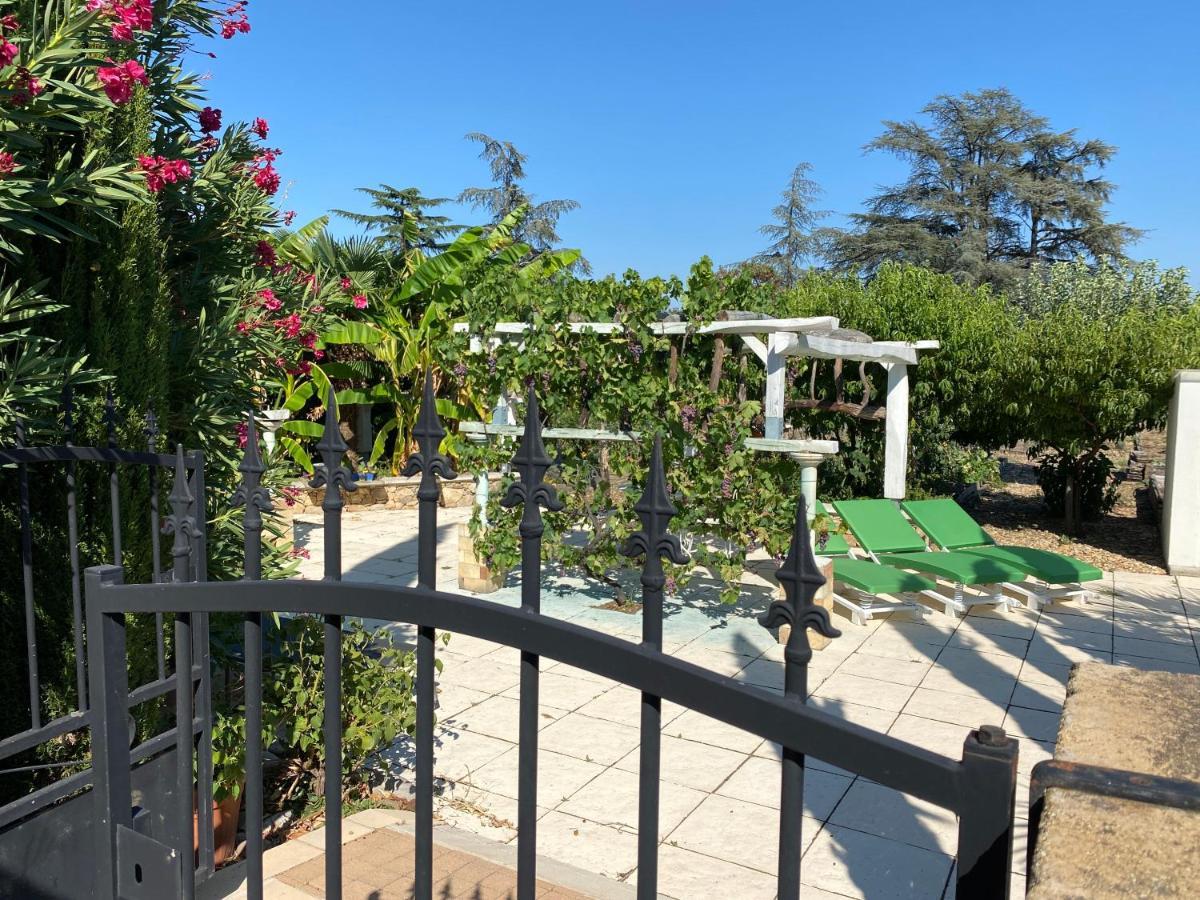 Chambres Privees Dans Maison Avec Grand Parc Et Piscine Proche Via Rhona Andancette Εξωτερικό φωτογραφία
